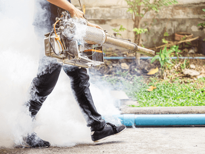 About Guardexa Pest Solutions - pest control experts in Sydney
