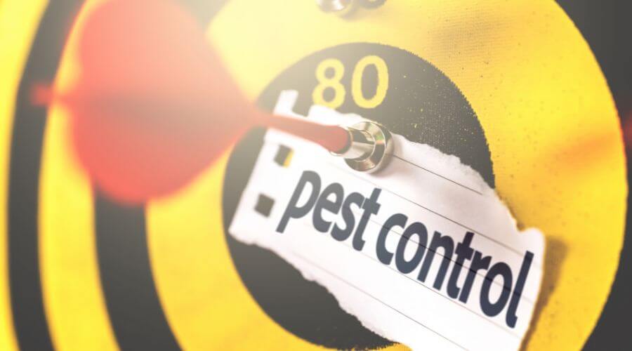 Professional pest control services in Sydney